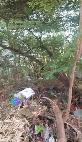 TERMURAH TANAH KOMPLEK KAV DKI SIAP BANGUN
