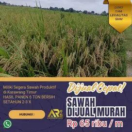 DIJUAL CEPAT TANAH SAWAH PRODUKTIF LUAS 1 HEKTAR DI TELAGASARIKARAWANG