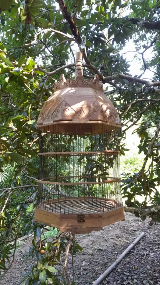 Sangkar bagus kayu jati