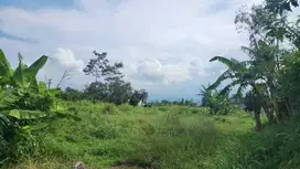 Tanah View Cantik Merjosari – Pas Bangun Kos atau Guesthouse