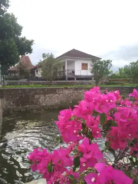 Dijual Resto Lokasi Strategis