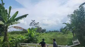 Dijual Tanah View Premium di Merjosari – Potensi Sewa Tinggi