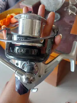Reel pancing size 9000