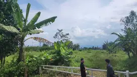 Tanah Pinggir Jalan Merjosari – Siap Kos, View Citylight