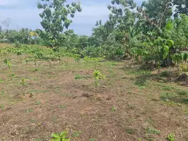 di jual Tanah di Sindangbarang Cianjur Selatan, 2 KM dari Pantai