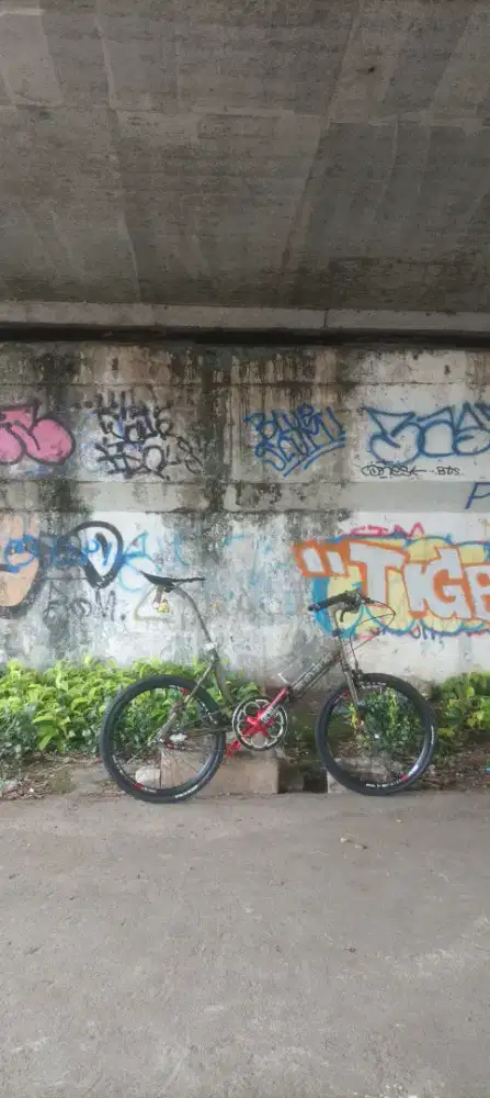 Minitrek Marubeni Belimbing