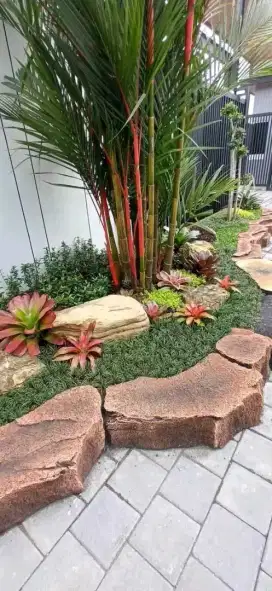 Spesialis pembuatan Taman dan ikan koi