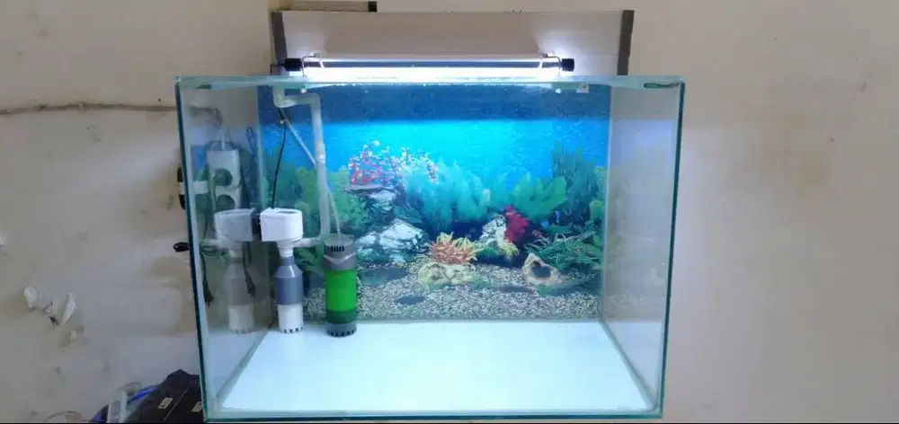 Akuarium Fullset banyak Bonusnya -    Citayam