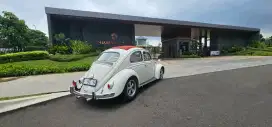 JUAL VW KODOK / BEETLE, Th 59, PUTIH, MULUS, SIAP KOLEKSI, RARE ITEM