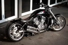 Harley Davidson Vrod Muscle FP