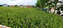 Dijual Tanah di Soreang, Kawasan Strategis Dekat Stadion Jalak Harupat