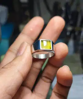 Idocrase bio solar