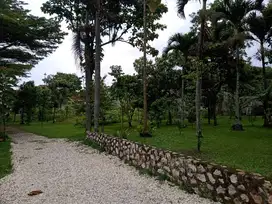 Dijual Tanah Beserta Bangunan di Cibabat, Mewah Strategis Sudah SHM