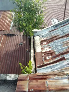 Tukang Genteng Bocor