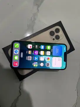 Iphone 13 pro internal 256