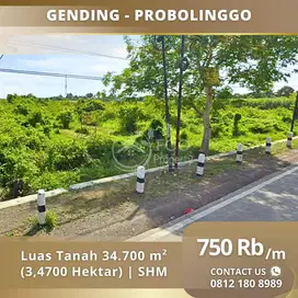 Lahan 3.4 Hektar Raya Gending Probolinggo
