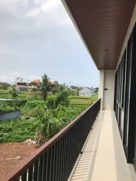 BRAND NEW VILLA   AREA KEDUNGU TABANAN