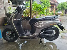 Honda Genio 2022