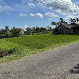 LAHAN VIEW SAWAH DI KAWASAN VILLA TEGALLALANG, UBUD - BALI