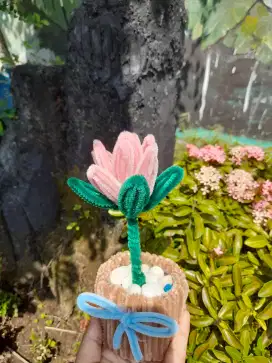 bunga kawat bulu