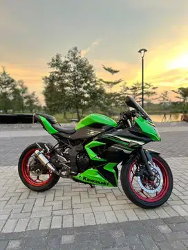 Ninja 250 SL Mono