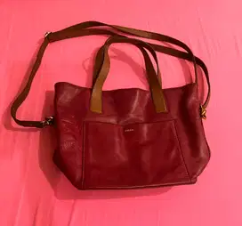 Tas fossil original