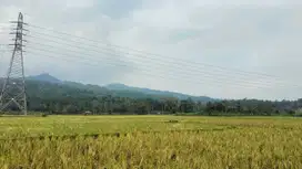 Tanah dan Sawah pinggir jalan Carita, Pandeglang, Banten