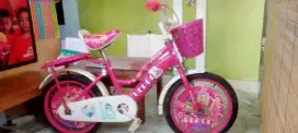 Sepeda anak ring 16..