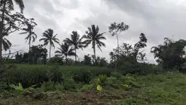 Lahan Siap Bangun di Malang – 15 Menit ke UNMER & UB Kampus II