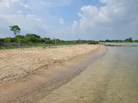 Tanah tepi pantai pasir putih