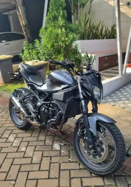 Ninja 250 sl mono