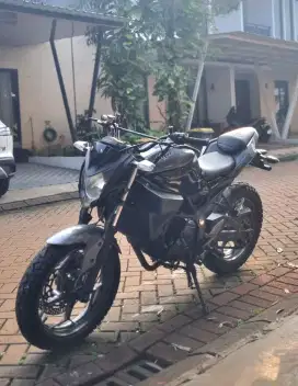 Ninja 250 sl mono