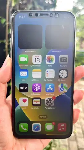 IPHONE X 256 GB