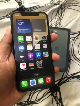 iphone 11 pro 25 GB DUAL SIM