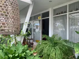 Rumah Kuno Dijual