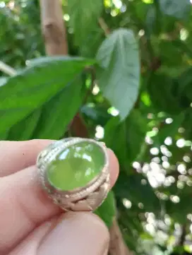 Indogress dim kantoran