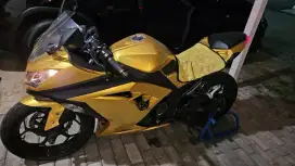 Ninja 2015 Abs 30th aniv