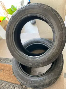 Ban GT Radial Savero