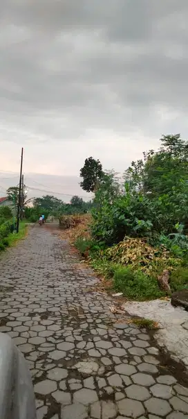 Tanah pekarangan dekat kampus STPN Banyuraden