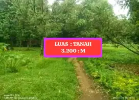 Di jual Tanah Kebun Duren