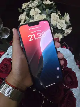 Iphone 13 Pro Max 128GB all oprator muluss