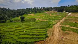 Dijual Tanah Kavling 100 Meteran cocok buat investasi bisa bangun vila