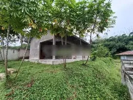 Tanah di Desa ciburuy,Lebak, rangkasbitung