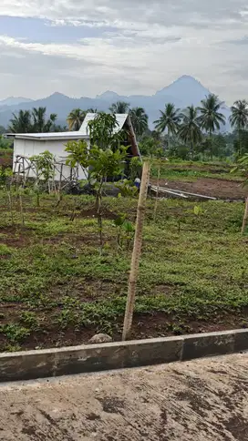 Tanah Murah Dijual 780 ribu/meter²Pinggir Jalan