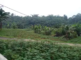 Tanah Kaveling Ciampea Cicilan 12x Tanpa Bunga 0%, 10 Menit Kampus IPB