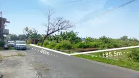 Tanah Pekarangan Ideal Zona Kuning Relevan Untuk Perum Cluster Krngyr
