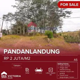DIJUAL Tanah Pinggir Jalan Pandanlandung Lebar depan 40 meter