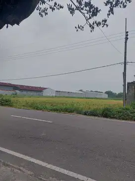 Lahan plot industri nol jl raya jalur propinsi