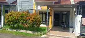 DiKontrakan  /Tahun