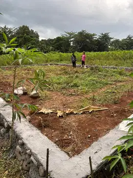 Dijual tanah kavling